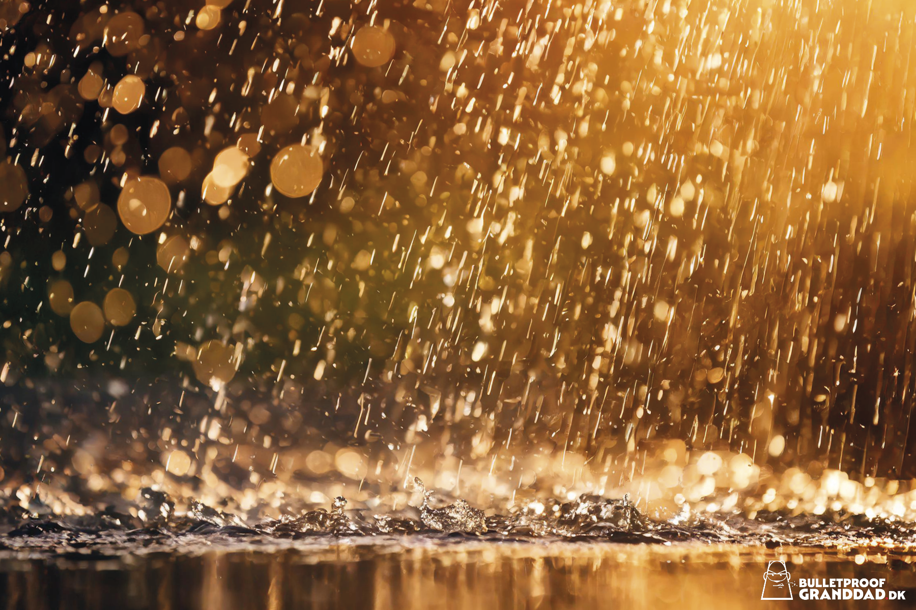 Regn over Amager