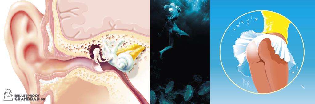 Afsnitsbanner: Portfolio