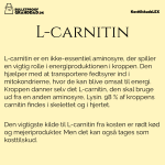 KosttilskudsLEX: L-carnitin