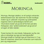 KosttilskudLEX: Moringa